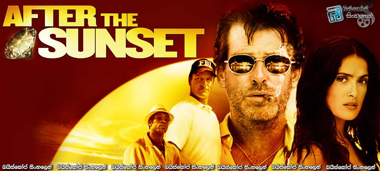 After the Sunset (2004) | සොරු විශ්රාම ගත් දා!