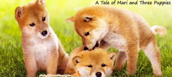 A Tale of Mari and Three Puppies (2007) | ආදරණිය බලු පවුල [සිංහල උපසිරැසි සමඟ]