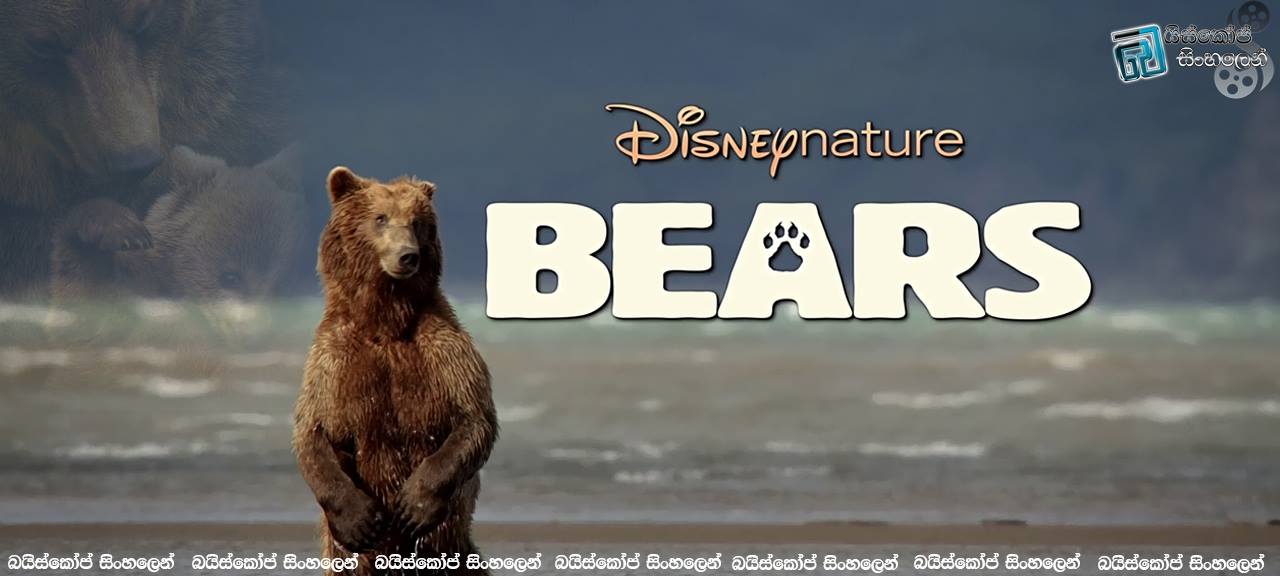 Bears (2014) | වසරක වලස් දිවිමග… [සිංහල උපසිරැසි සමඟ]