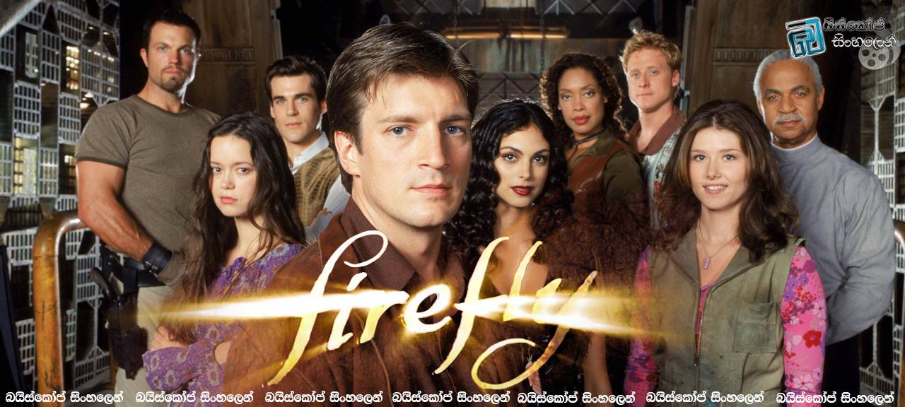 Firefly (4)