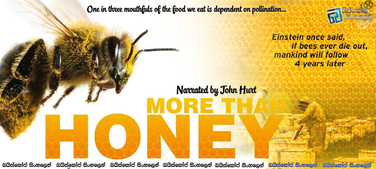 More Than Honey (2012)