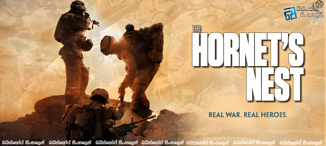 The Hornet's Nest 2014