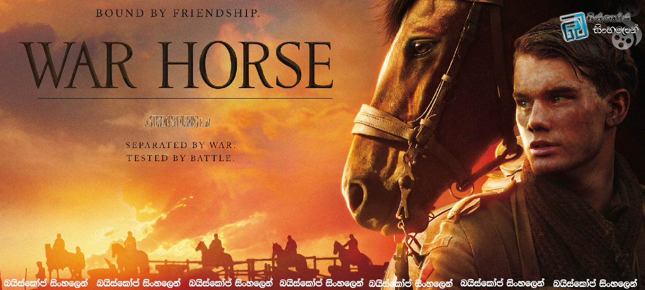 War Horse 2011