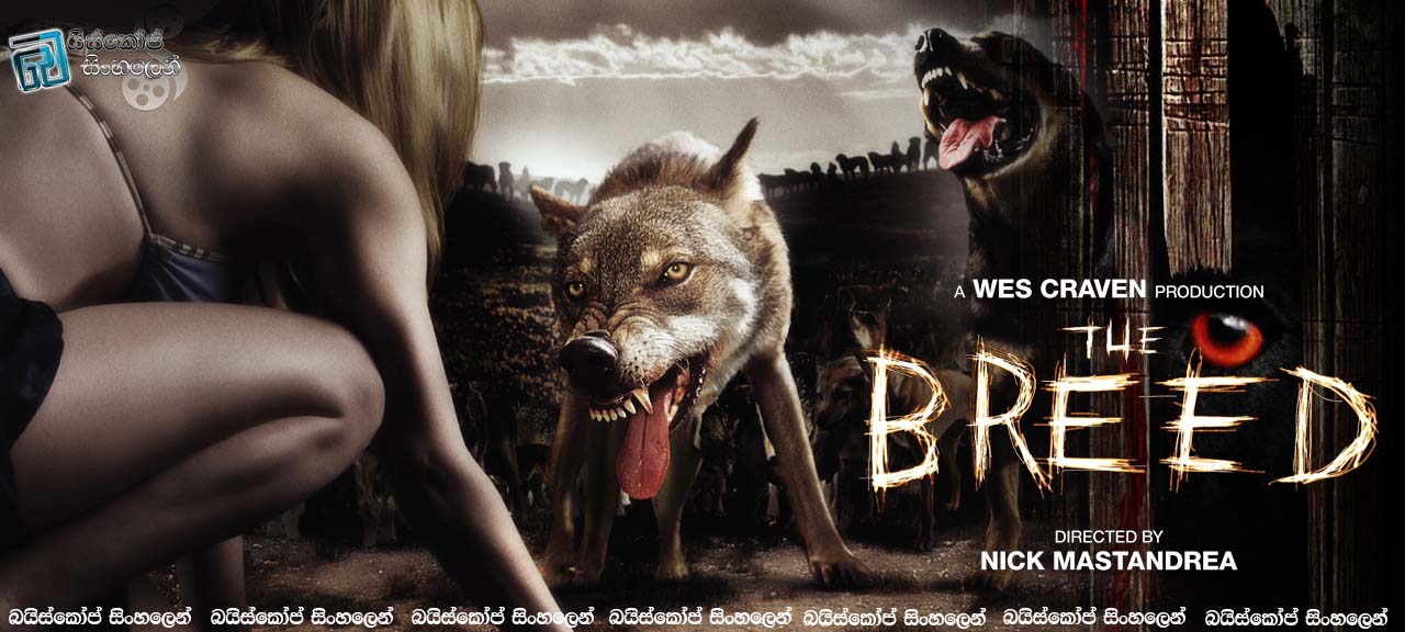 The Breed (2006) | සුනඛයන්ගේ දිවයින. [සිංහල උපසිරැසි සමඟ]