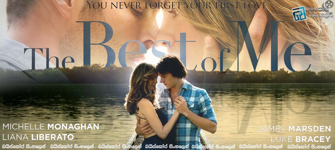 The Best Of Me 2014