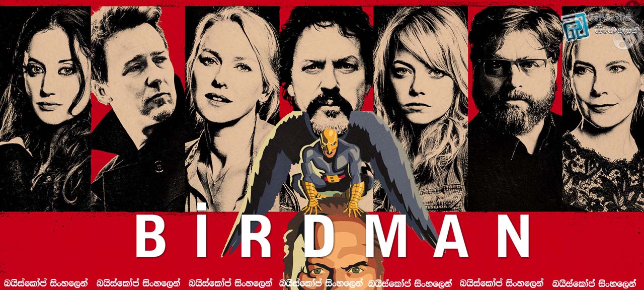Birdman 2014