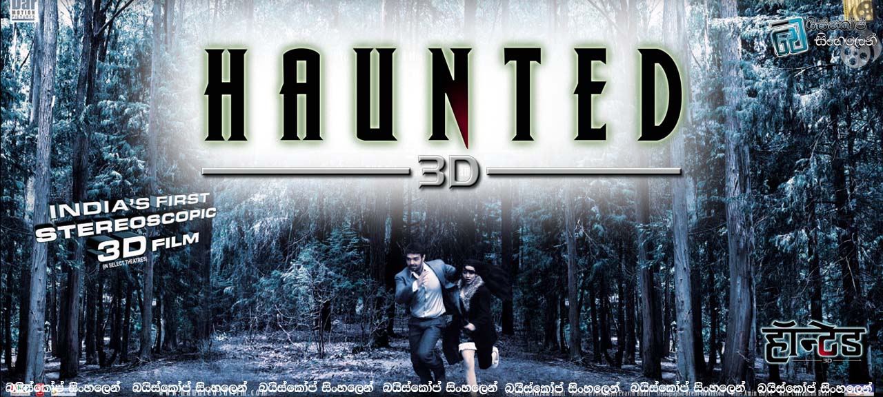 Haunted 3D (2011)