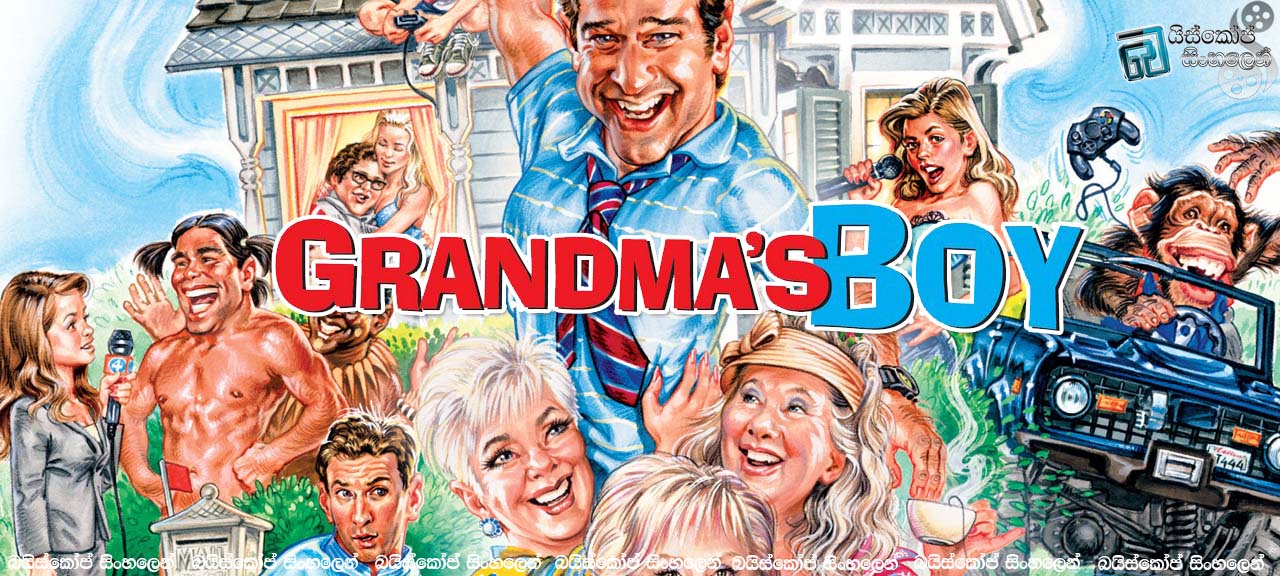 grandma's boy 2006
