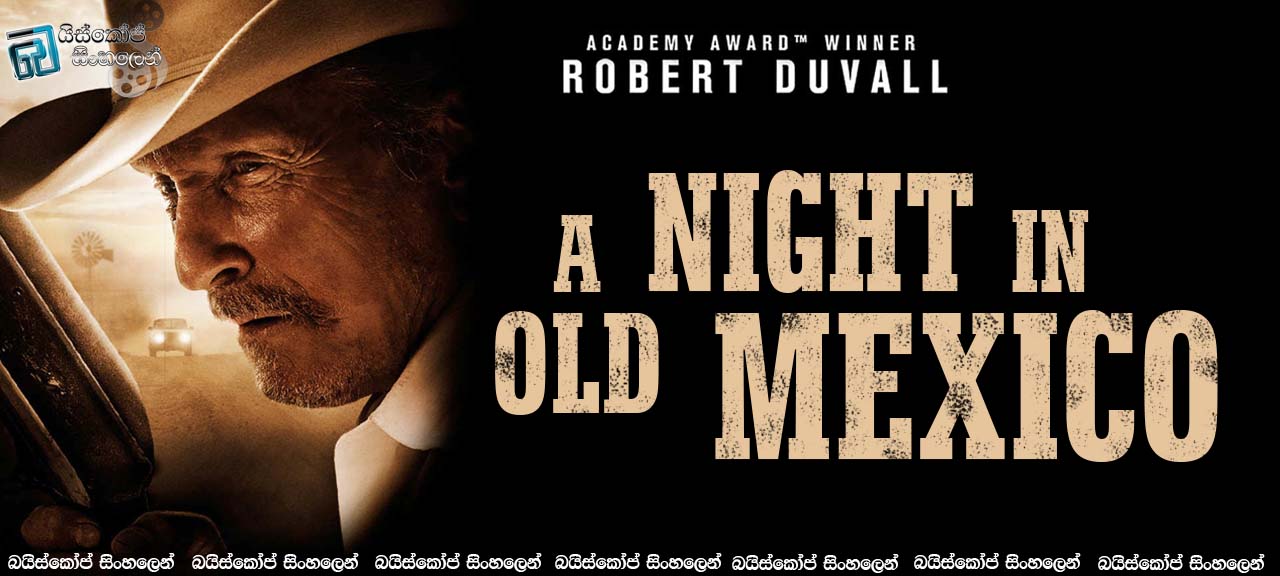 A Night In Old Mexico (2013)