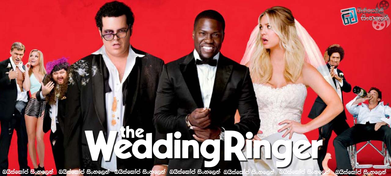 The wedding ringer 2015
