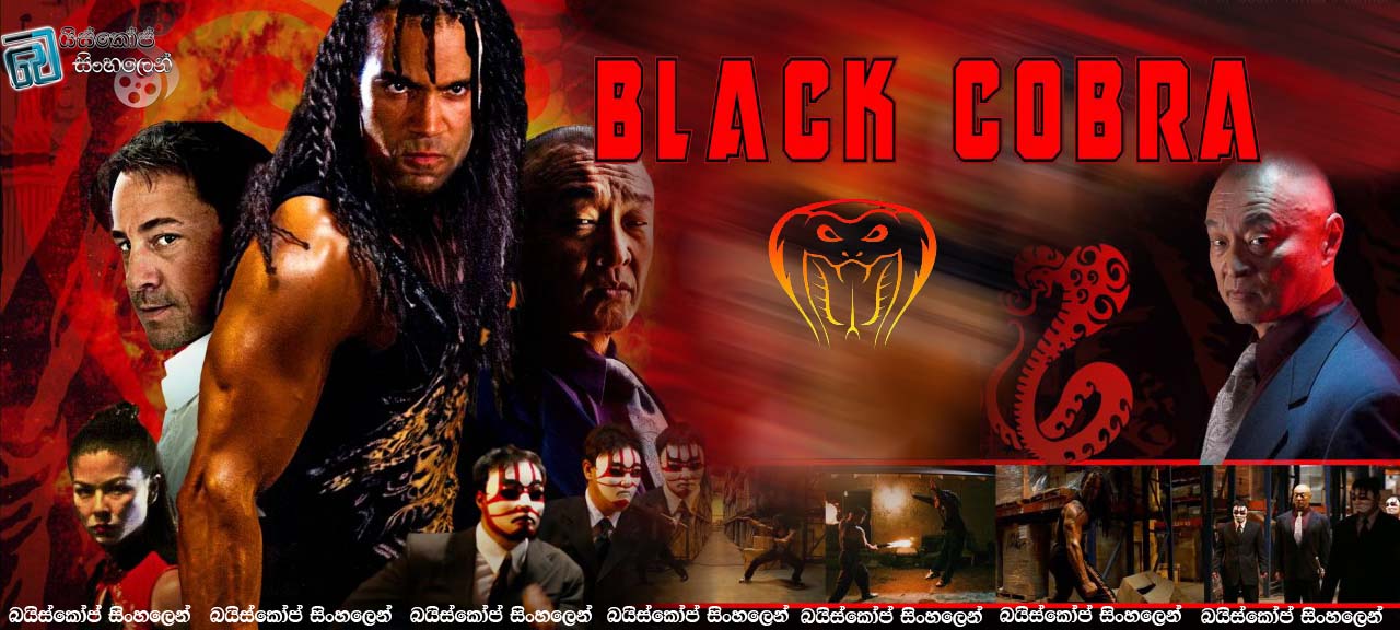 Black Cobra 2012