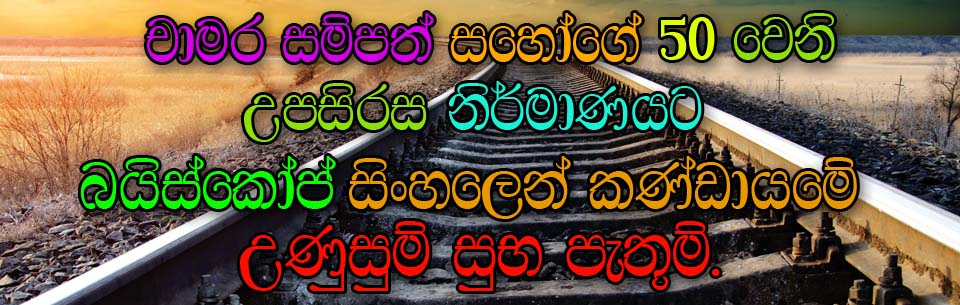 Chamara 50 Wish
