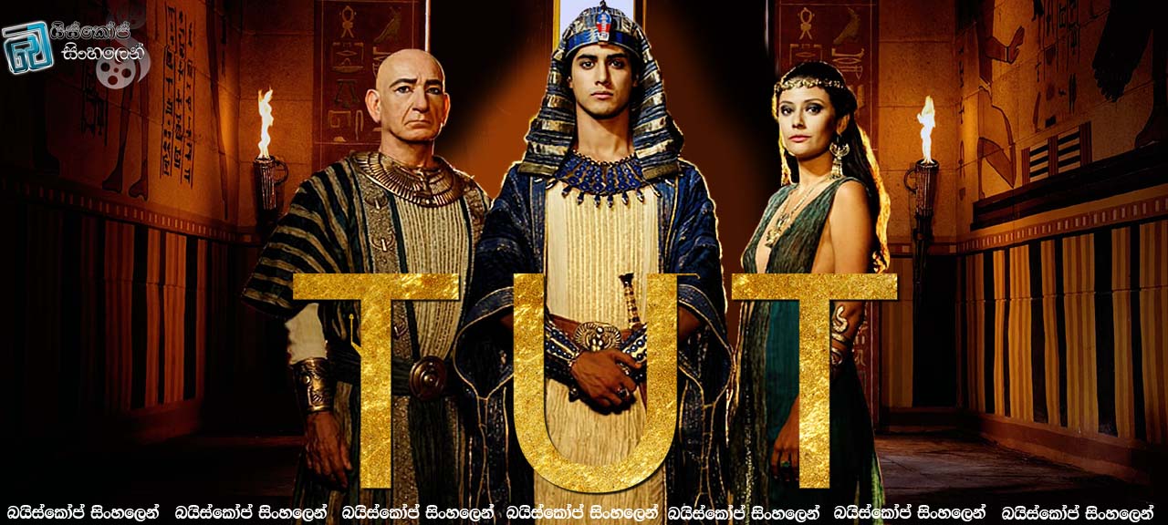 Tut tv 2015