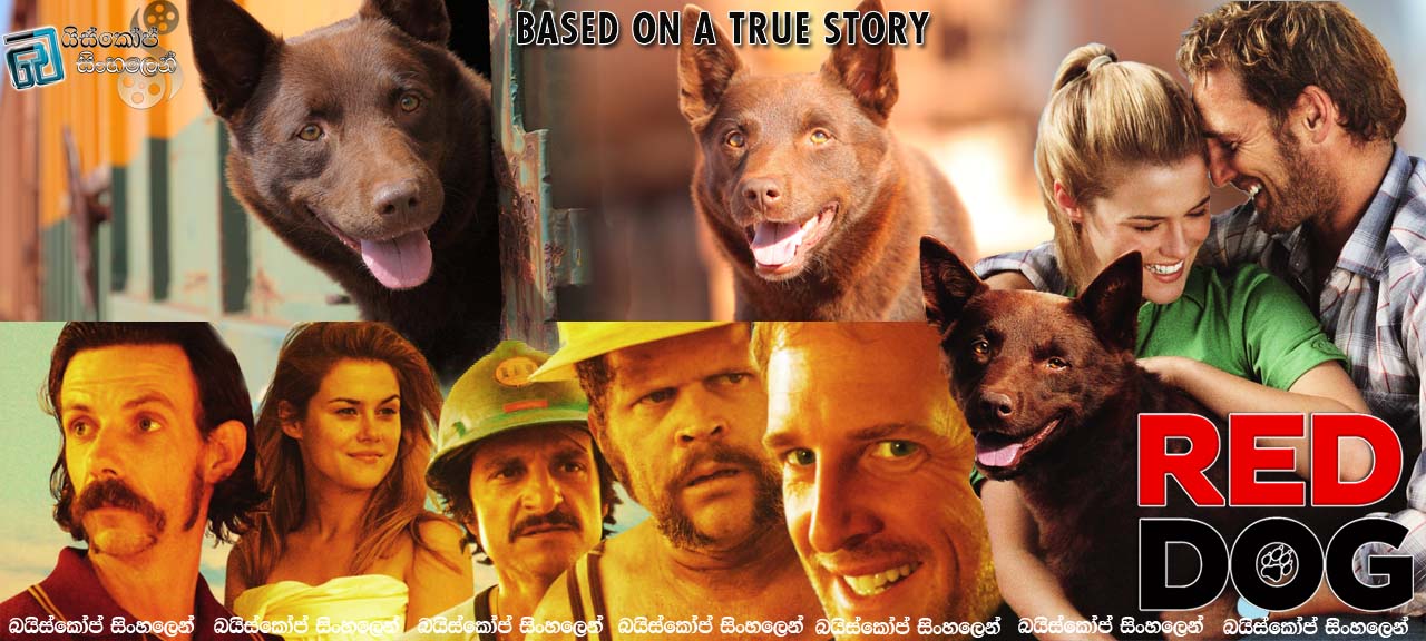 Red Dog (2011) With Sinhala Subtitle |  ඔයාල ජෝන්ව දැක්කද? [සිංහල උපසිරසි සමඟ]