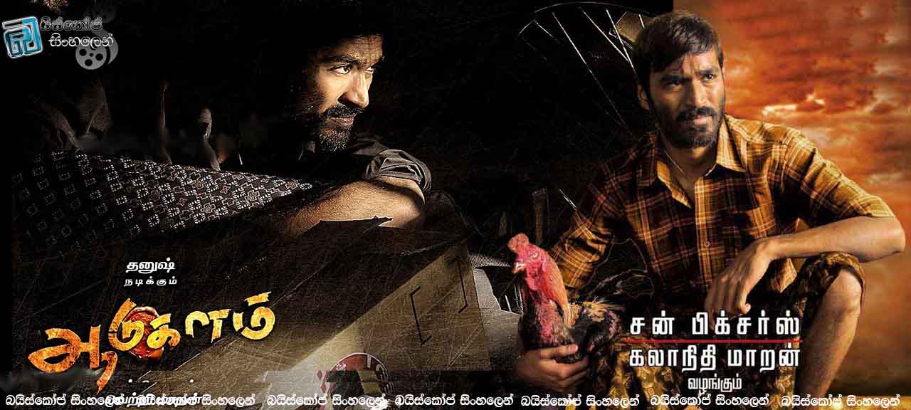 Aadukalam (2011)
