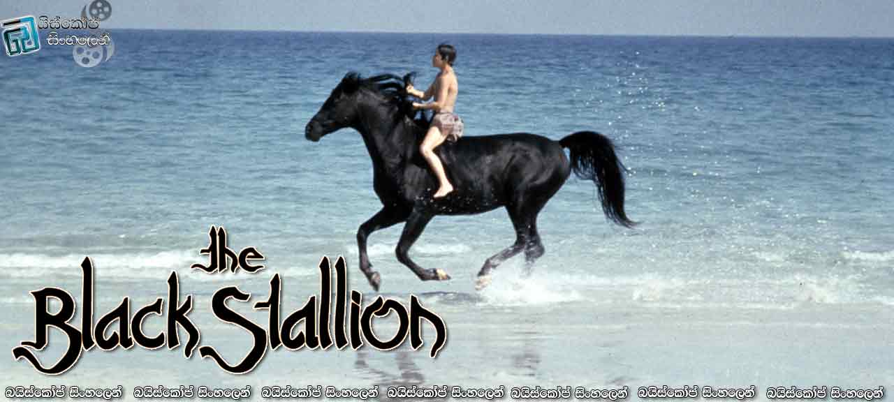 The Black Stallion (1979) with Sinhala Subtitles|කළු අශ්වයා: උත්සාහය හා අධිෂ්ඨානය…  [සිංහල උපසිරැසි සමඟ]