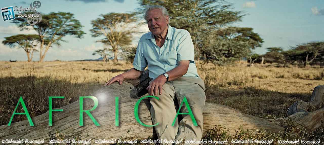 Africa (TV-MiS-2013)-1