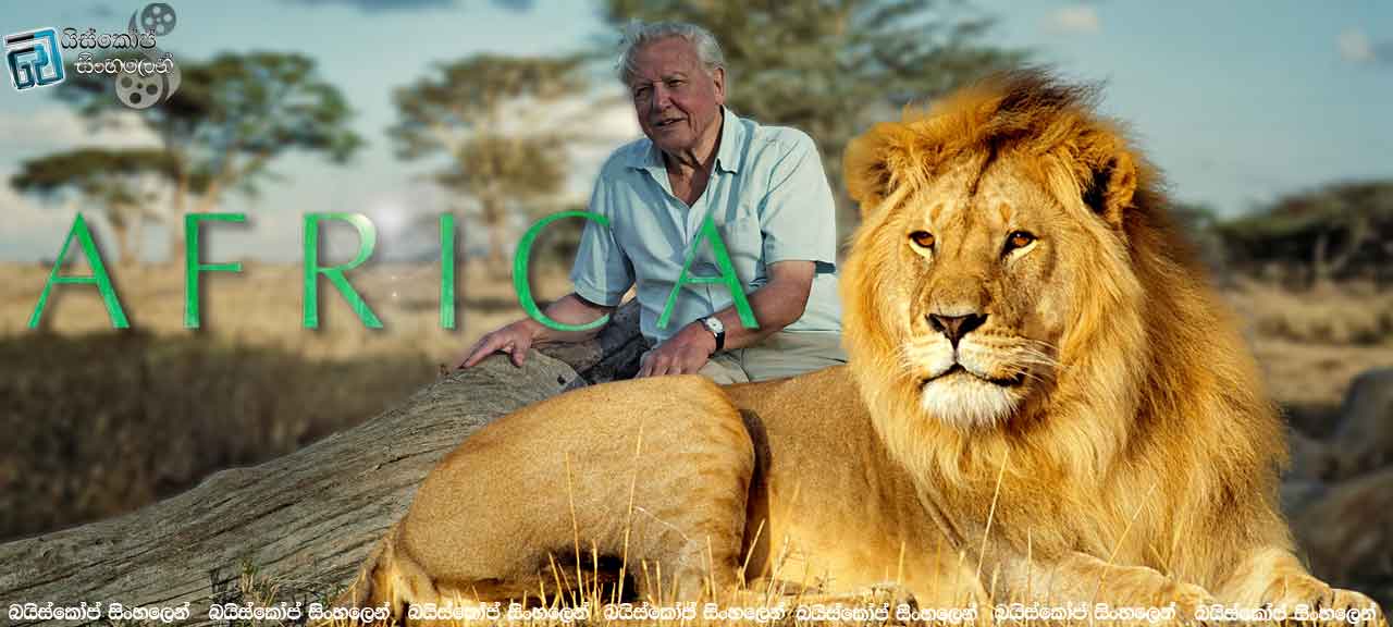 Africa (TV-MiS-2013)-2