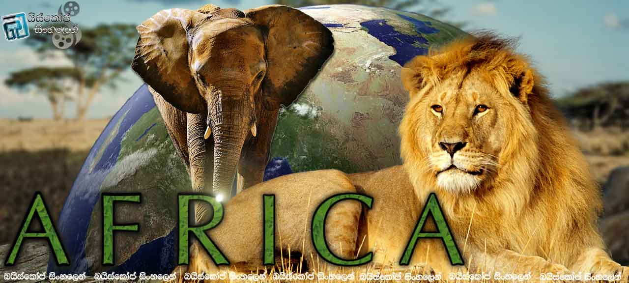 Africa (TV-MiS-2013)-3