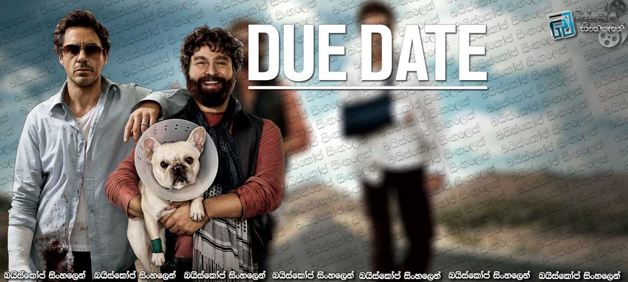 Due Date (2010)
