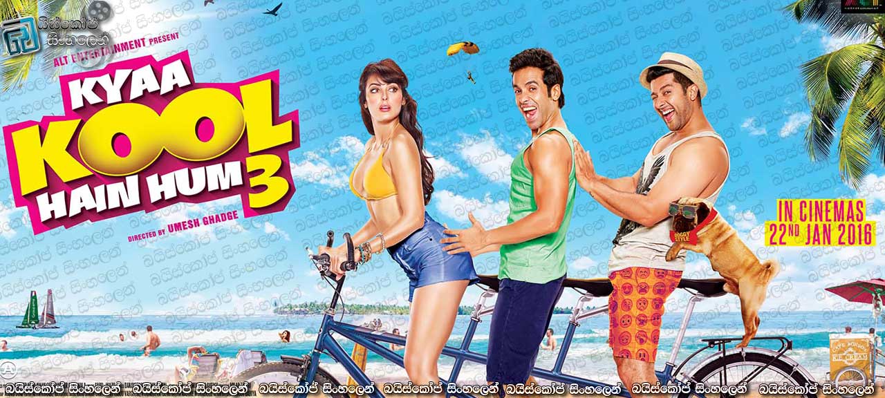 Kyaa Kool Hain Hum 3 (2016)