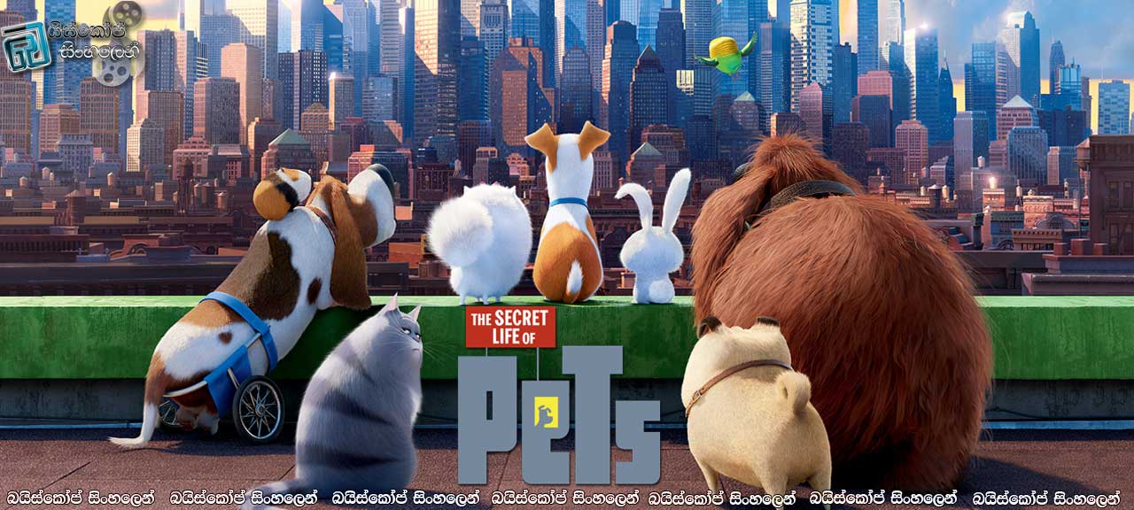 The Secret Life of Pets (2016)