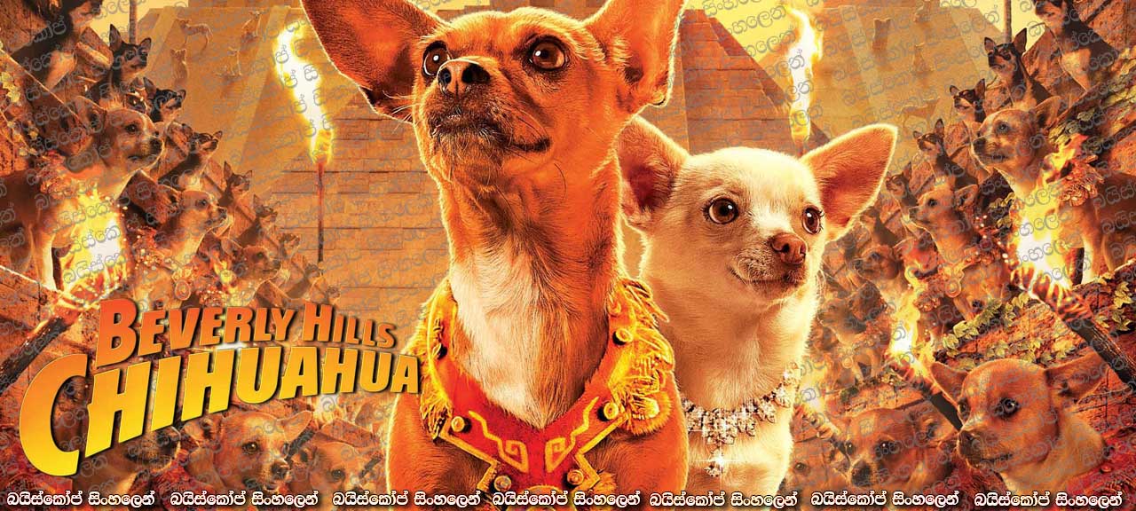 Beverly Hills Chihuahua (2008)