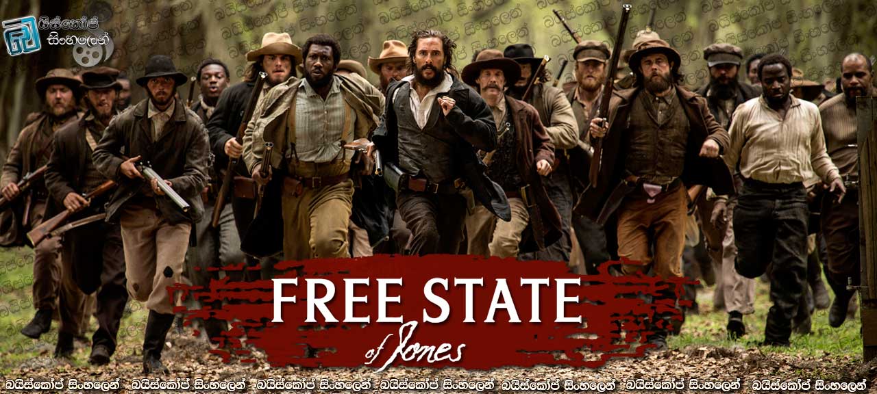 Free State of Jones (2016)