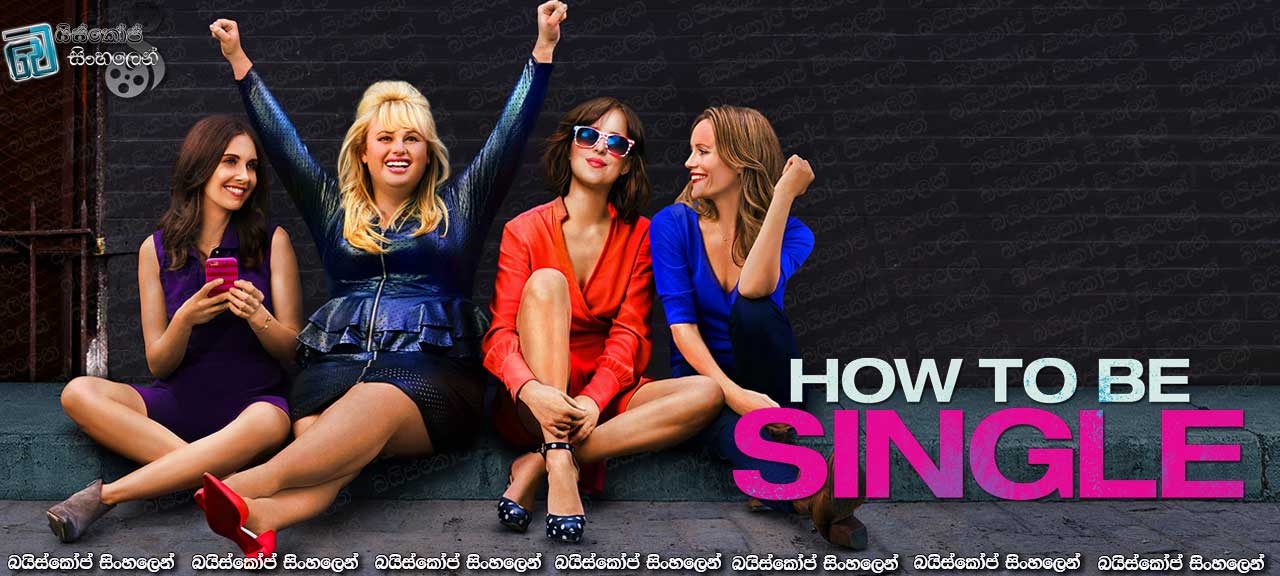 How to Be Single (2016)