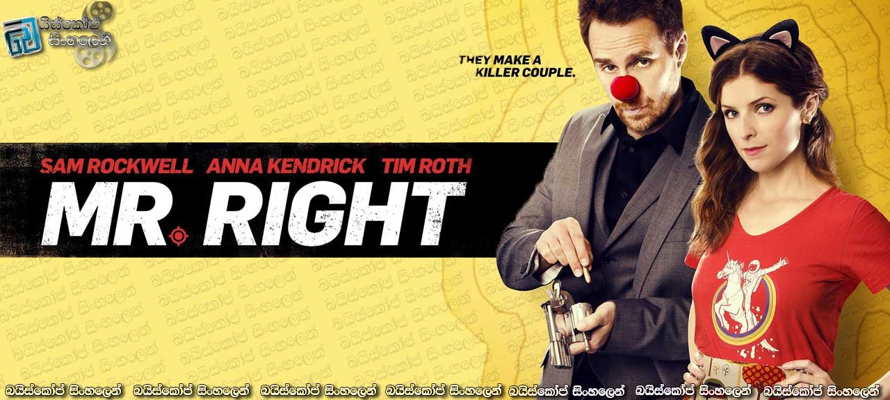 Mr. Right (2015)