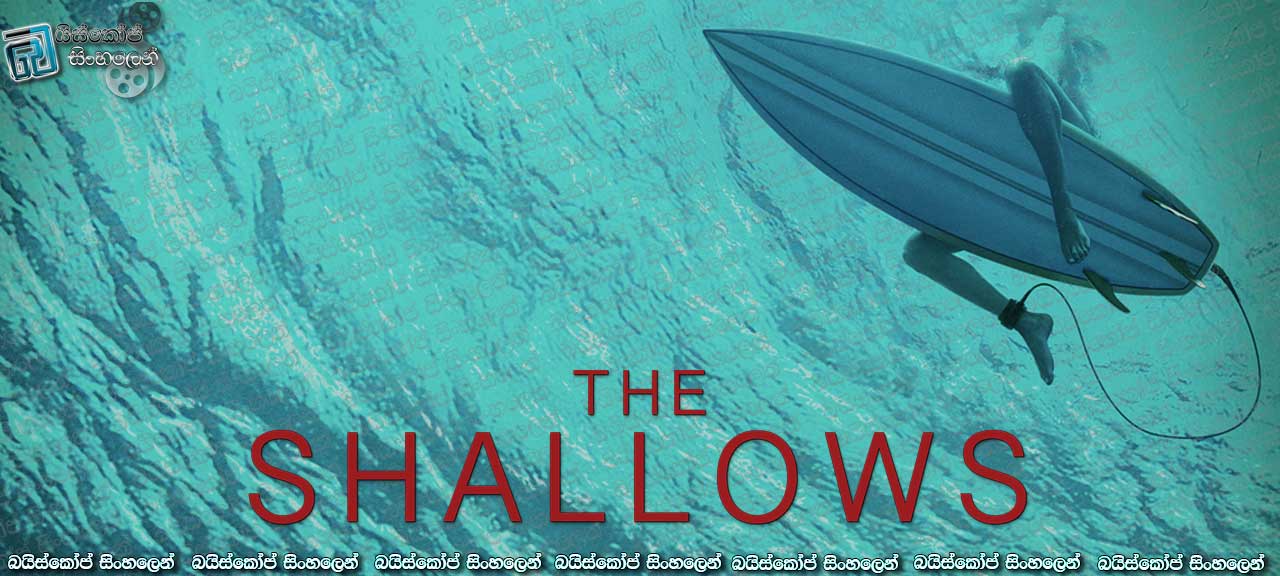 The Shallows (2016) with Sinhala Subtitles | නිර්නාමික වෙරළක් ! මිනීමරු මෝරෙක් ! [සිංහල උපසිරැසි සමඟ]