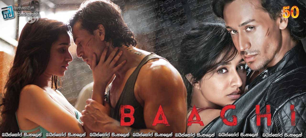 Baaghi (2016) New 50