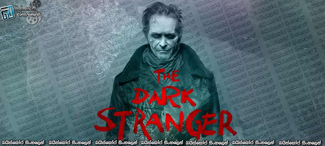 The Dark Stranger (2015)