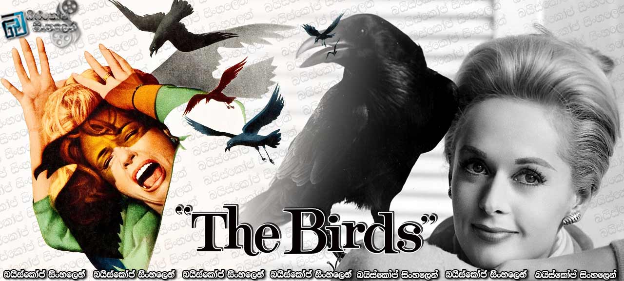 The Birds (1963)