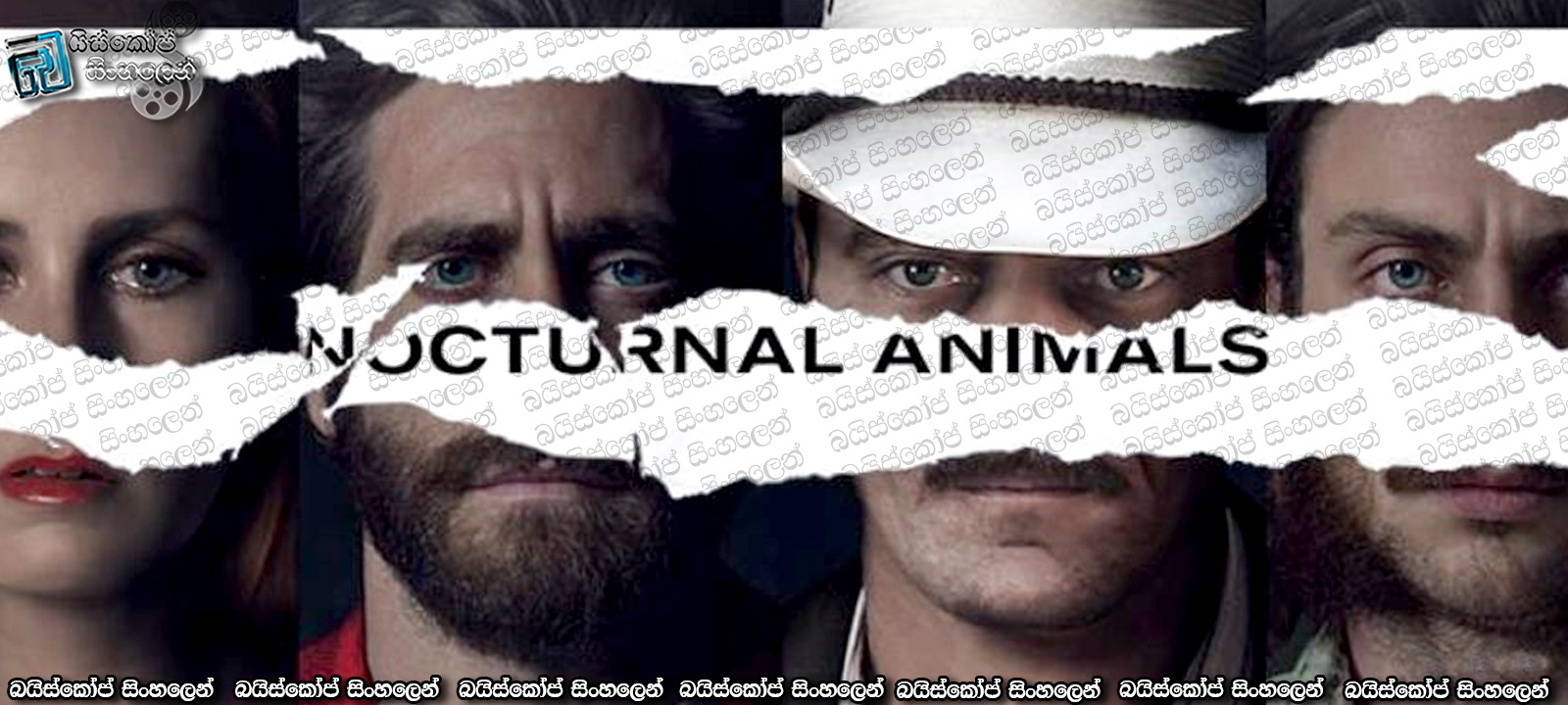 Nocturnal Animals (2016) With Sinhala Subtitles | “නිශාචර සත්වයන්” [සිංහල උපසිරැසි සමඟ] (18+)