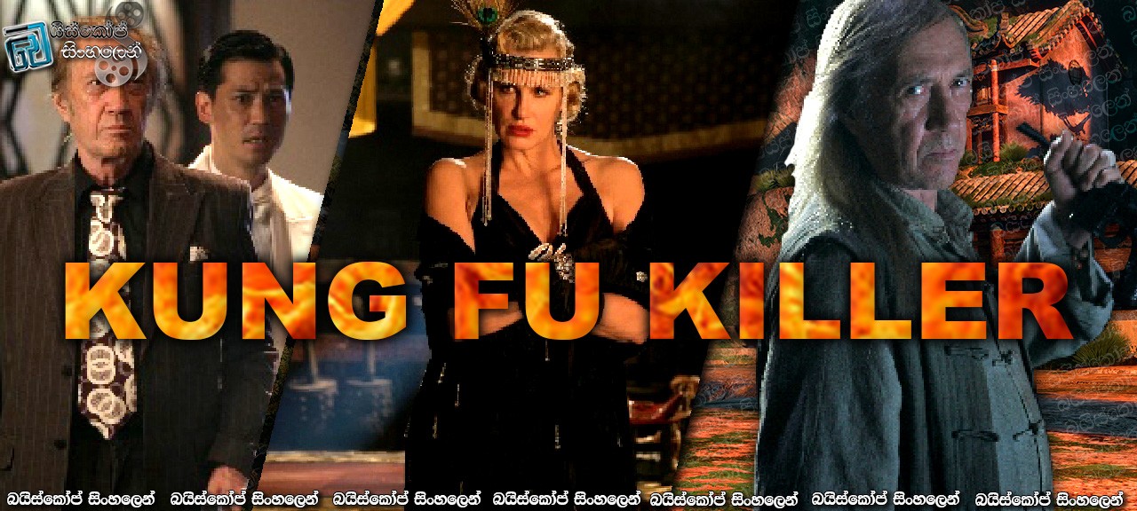 kung fu killer