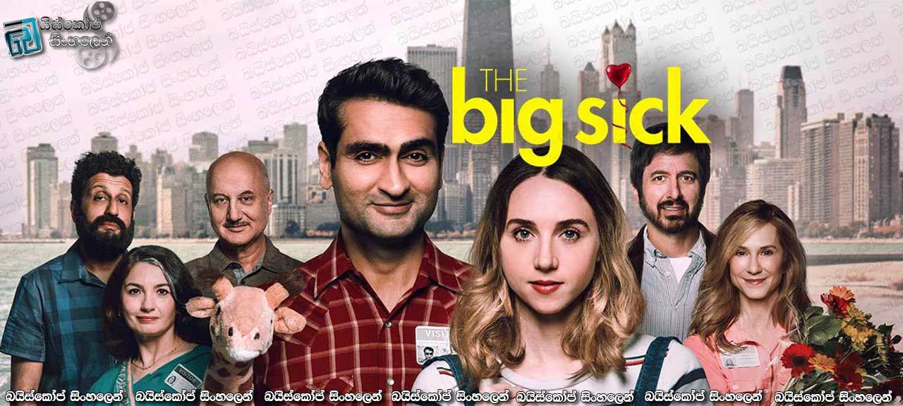 The Big Sick (2017) Sinhala Subtitles | ආදරයද පවුලද? [සිංහල උපසිරසි සමඟ]