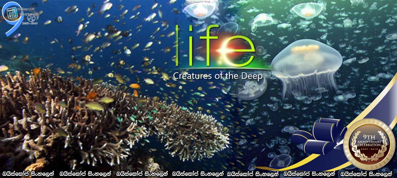 Life (2009) [E08] Sinhala Subtitles | ගැඹුරු මුහුදේ ජීවීන්… [සිංහල උපසිරැසි සමග]