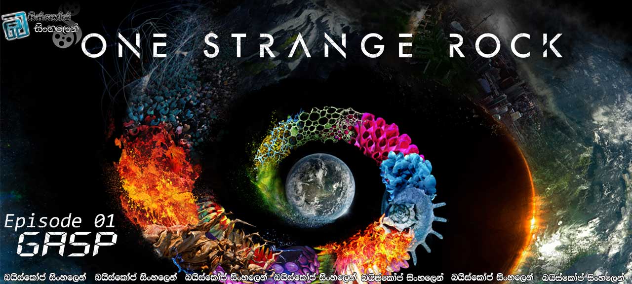 One Strange Rock [ S01 : 01 – Gasp ] Sinhala Subtitles | හුස්ම පොදක උපතේ කතාව. [සිංහල උපසිරැසි සමඟ]