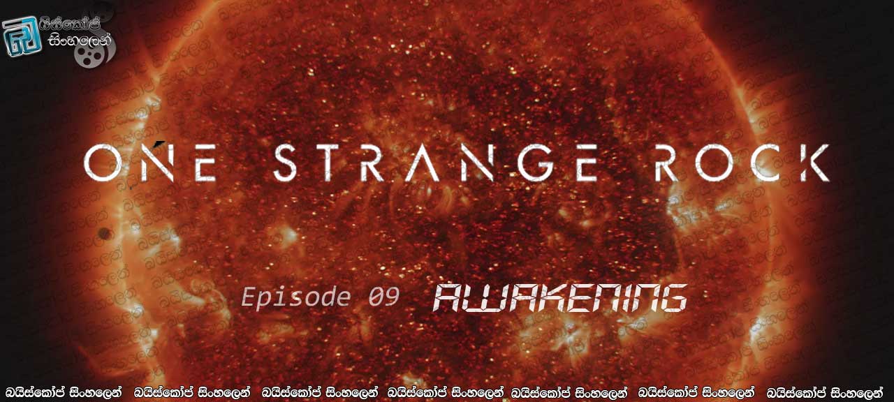 One Strange Rock [ S01 : 09 – Awakening ] Sinhala Subtitles | මේ ලෝකේ තියෙන දියුණුම දේ මොකක්ද?[සිංහල උපසිරැසි සමඟ]