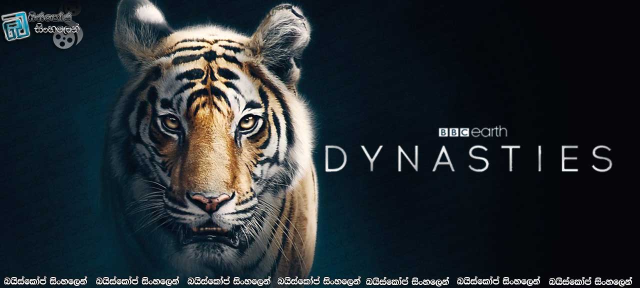 Dynasties [ S01 : E05 – Tiger ] Sinhala Subtitles | ව්‍යාඝ්‍ර මවකගේ දුෂ්කර ජීවිතය… [සිංහල උපසිරැසි සමඟ]