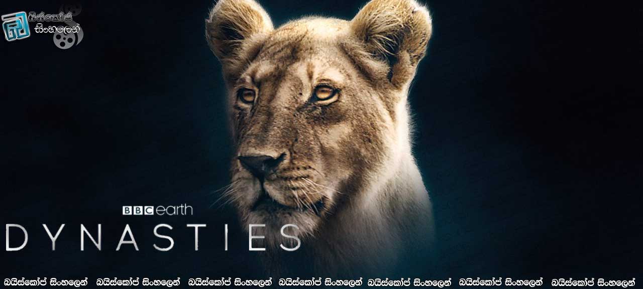 Dynasties [ S01 : E03 – Lion ] Sinhala Subtitles | සිංහ ධේනුවකගේ නායකත්වය… [සිංහල උපසිරැසි සමඟ]