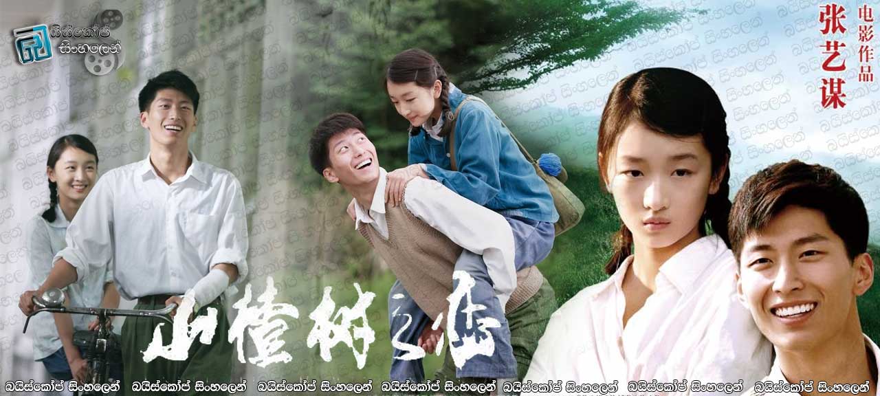 Under the Hawthorn Tree (2010) AKA Shan zha shu zhi lian Sinhala Subtitles | බලා හිදිමි යලි ඔබ පැමිණෙතැයි කියා…… [සිංහල උපසිරසි සමඟ]