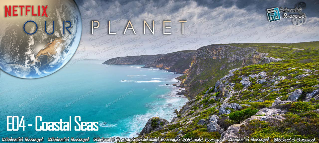 Our Planet [E04] Sinhala Subtitles | වෙරළබඩ මුහුදු ප්‍රදේශ [සිංහල උපසිරසි]