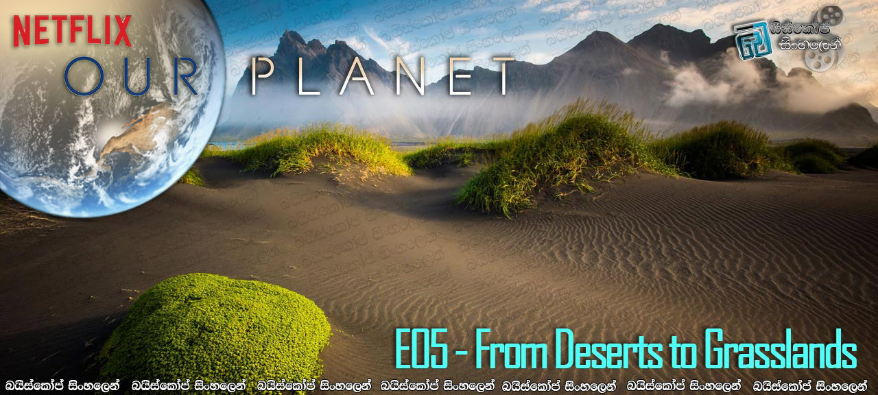 Our Planet [E05] Sinhala Subtitles | කාන්තාර සහ තෘණ භූමි [සිංහල උපසිරසි]