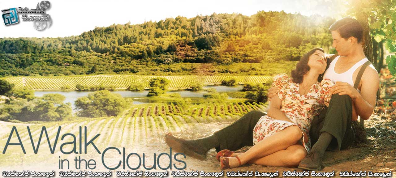 A Walk in the Clouds (1995) with Sinhala Subtitles | එන්න…වලාකුළු අතර සැරිසරන්න!  [සිංහල උපසිරසි සමඟ]