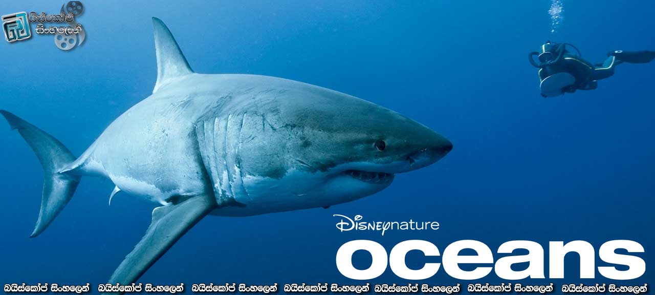 Oceans (2009) with Sinhala Subtitles | ඇයට ආදරය කරන්න! ඇයව ආරක්ෂා කරන්න! [සිංහල උපසිරැසි සමඟ]
