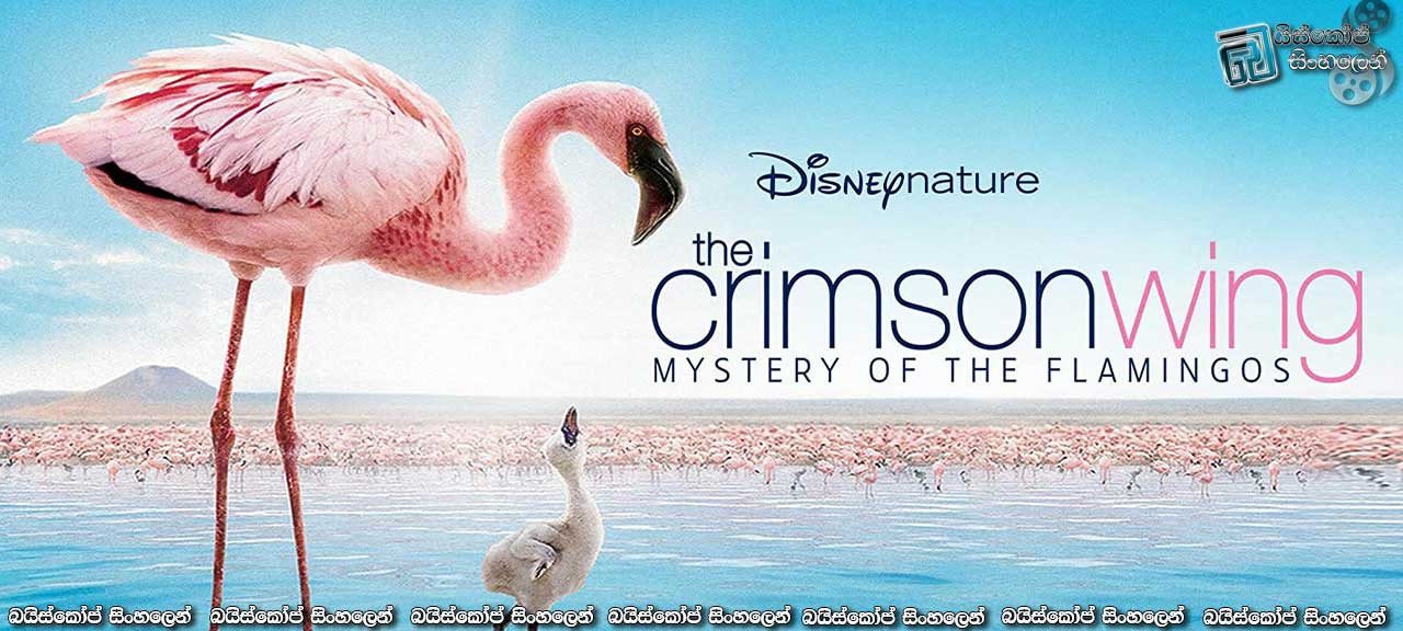 The Crimson Wing: Mystery of the Flamingos (2008) with Sinhala Subtitles | ෆීනික්ස්ගේ දරු පරපුර…  “ෆ්ලැමින්ගෝ!” [සිංහල උපසිරැසි සමඟ]