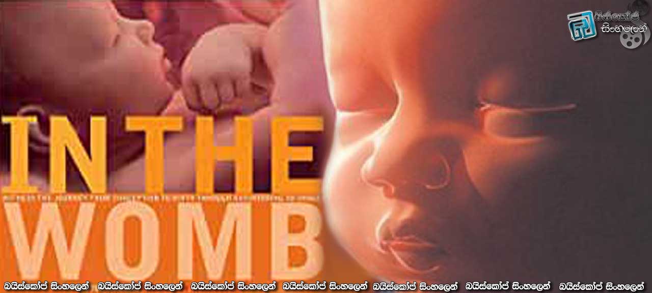In the Womb (2005) with Sinhala Subtitles | මේ ඔබගේ සංසේචනයේ සිට උපත දක්වා වූ කතාවයි.   [සිංහල උපසිරසි සමඟ]