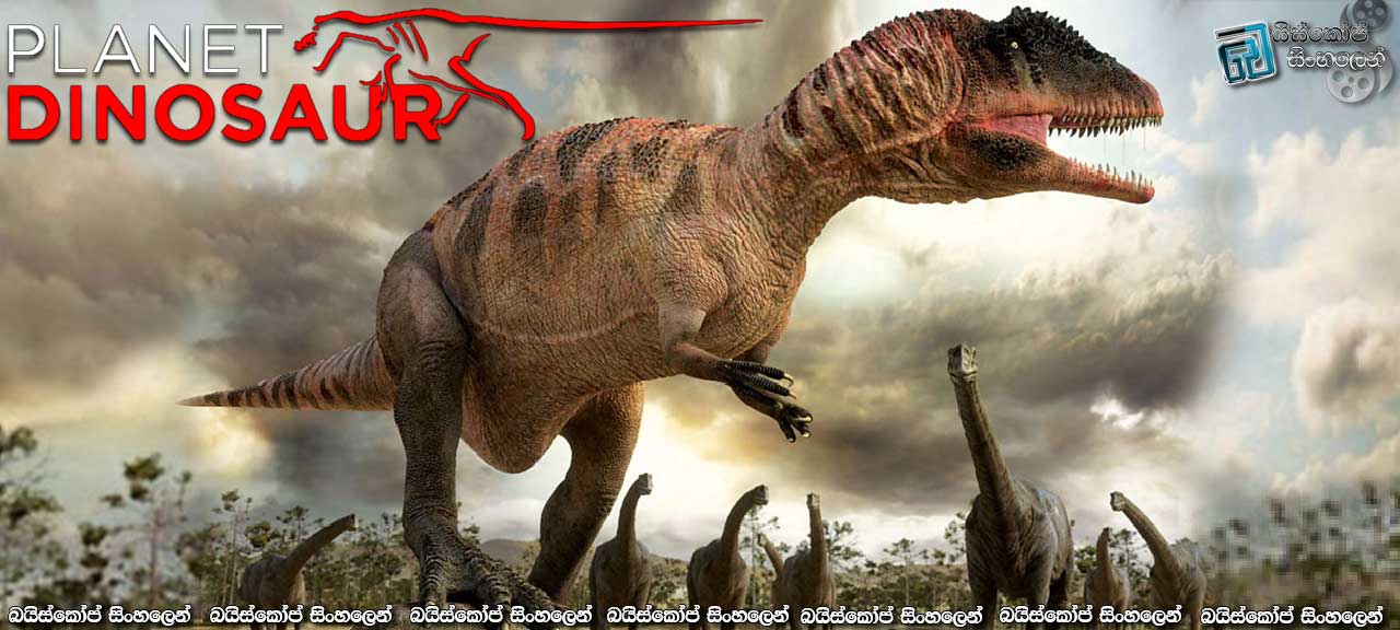 Planet Dinosaur [S01 : E06] Sinhala Subtitles | ප්‍රභේදනයේ විශේෂඥයෝ [සිංහල උපසිරැසි සමඟ]